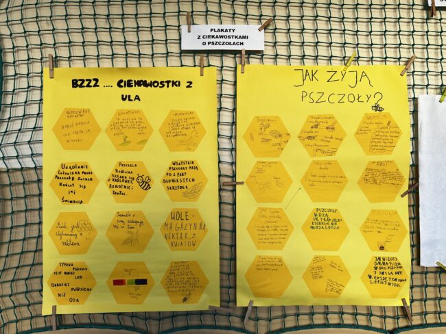 Warsztaty ekologiczne - projekt 6.37 A