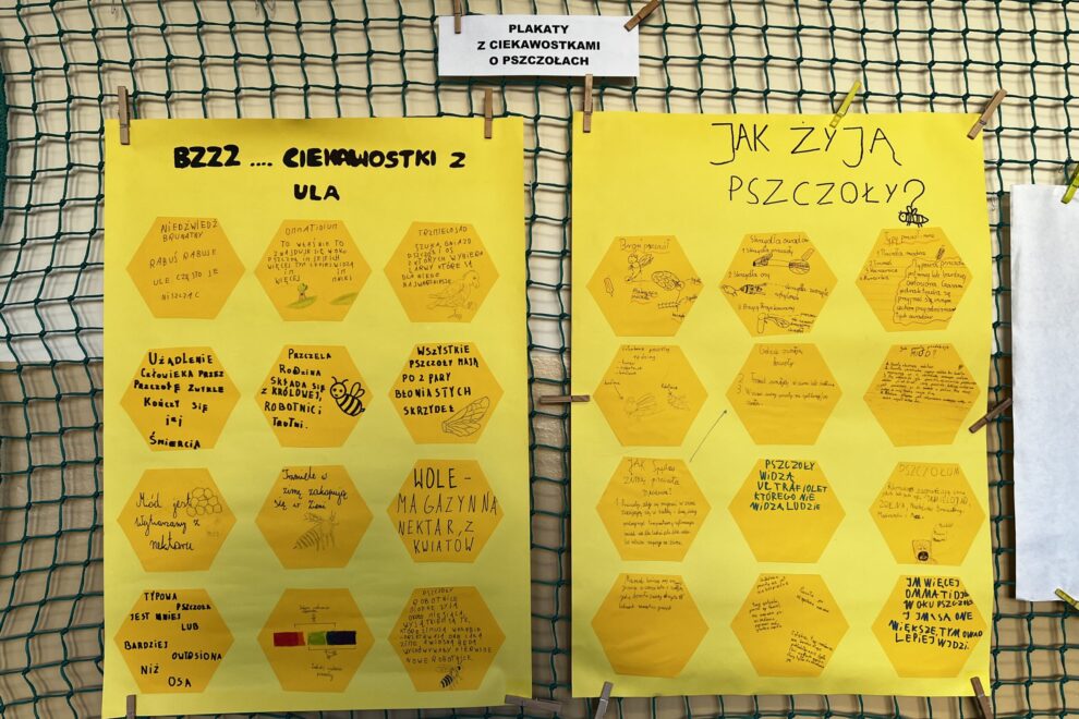 Warsztaty ekologiczne - projekt 6.37 A